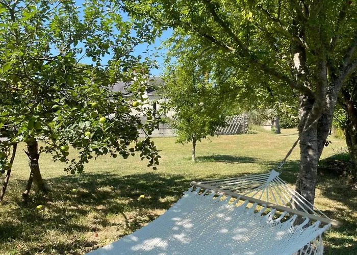 Moulin D'olivet Maison d'hôtes