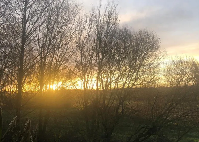 Maison d'hôtes Moulin D'olivet