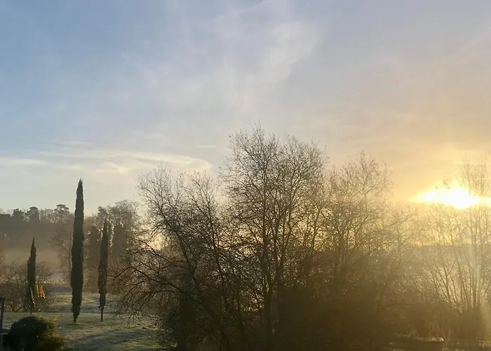 Moulin D'olivet Maison d'hôtes