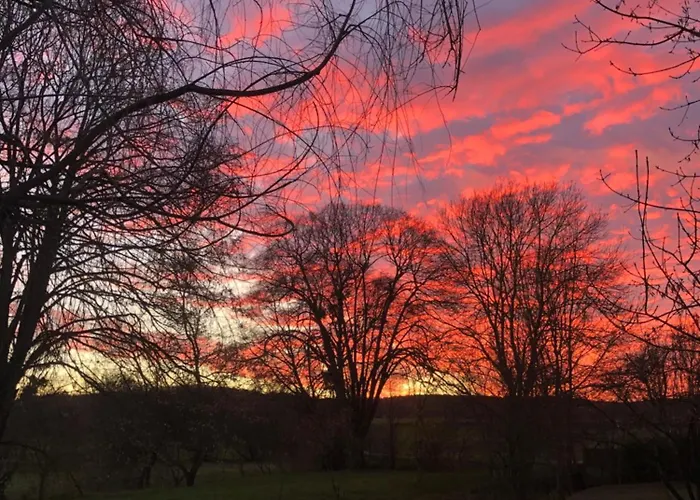 Moulin D'olivet 3* Chartrene