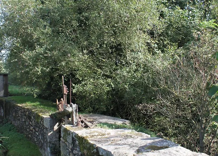 Moulin D'olivet Maison d'hôtes 3*