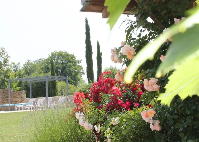 Maison d'hôtes Moulin D'olivet 3*