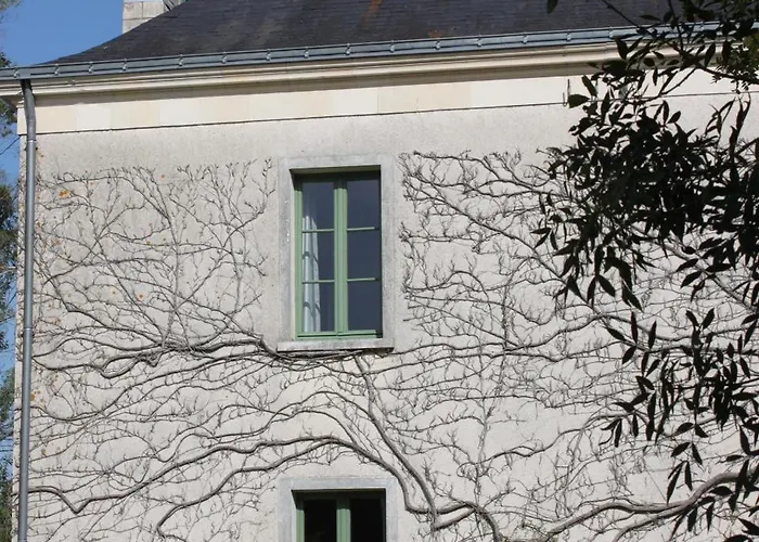 Moulin D'olivet Maison d'hôtes 3*