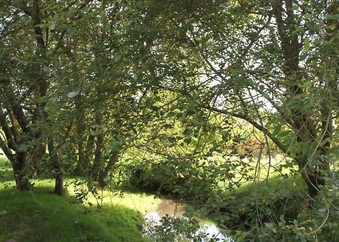 Moulin D'olivet Maison d'hôtes 3*